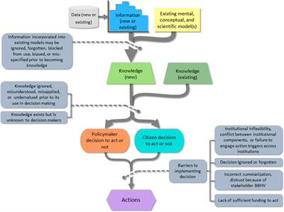 Value of Information and Decision Pathways: Concepts and Case Studies